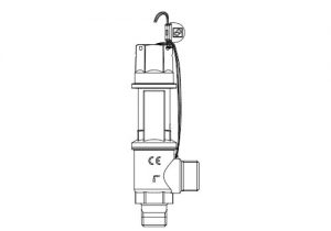 safety valves 3030